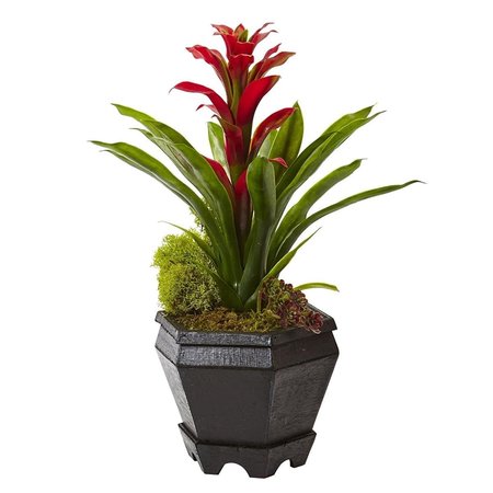 NEARLY NATURAL Bromeliad in Black Hexagon Planter, Red 6927-RD